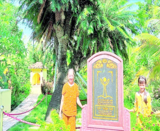 Cây thiên tuế tại đình Phú Nhuận (phường An Hội, tỉnh Vĩnh Long) được công nhận là cây di sản Việt Nam.