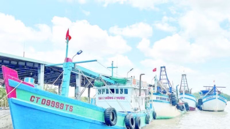 Tàu cá Cần Thơ tập kết tại Cảng cá Trần Đề.
