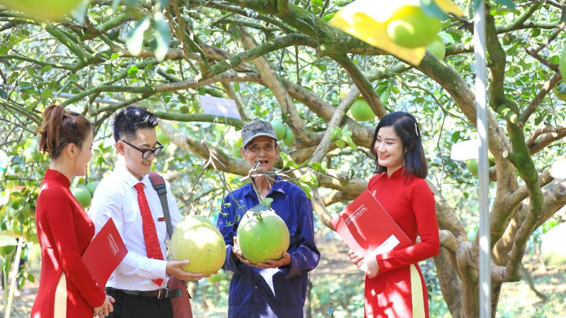 Trong nhiều năm qua, Agribank luôn tích cực triển khai các chương trình tín dụng ưu đãi nhằm tạo nguồn vốn cho phát triển nông nghiệp sạch, năng lượng tái tạo và tiêu dùng bền vững.