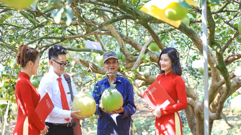 Trong nhiều năm qua, Agribank luôn tích cực triển khai các chương trình tín dụng ưu đãi nhằm tạo nguồn vốn cho phát triển nông nghiệp sạch, năng lượng tái tạo và tiêu dùng bền vững.