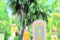Cây thiên tuế tại đình Phú Nhuận (phường An Hội, tỉnh Vĩnh Long) được công nhận là cây di sản Việt Nam.