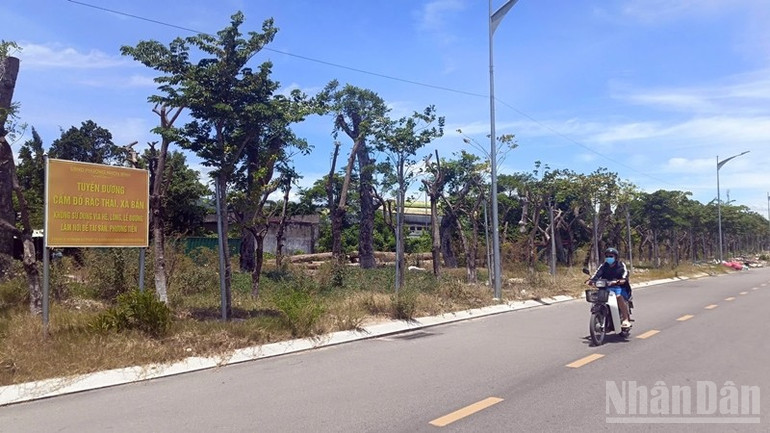 Mặc dù có biển báo "cấm đổ rác" nhưng cách đó không xa thì rác ngập đường. ndo_br_z6813369318079-ec4bb1695b21f28fcedc4c05ad7f076d.jpg