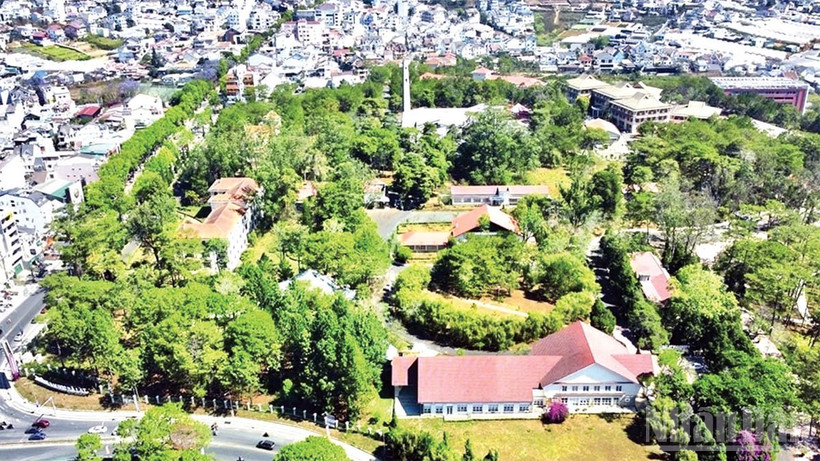 Khuôn viên xanh Trường đại học Đà Lạt.