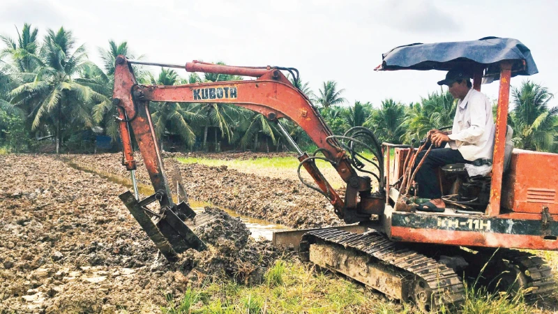 Áp lực sinh kế và làn sóng chuyển đổi đất lúa ở Đồng bằng sông Cửu Long
