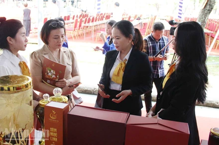 Đại biểu tham quan các sản phẩm dược liệu.