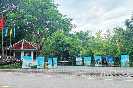 Cơ sở bị xử phạt.