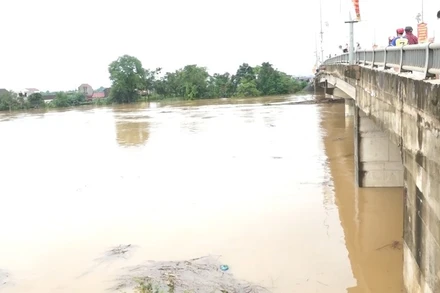 Nước sông Bưởi lên rất cao.