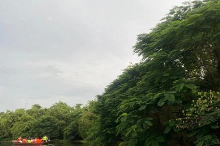 Khu du lịch sinh thái Đảo Cò (Hải Phòng).