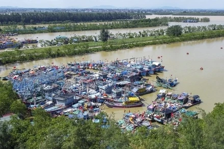 Tàu thuyền neo đậu tại âu tránh bão phường Sầm Sơn.