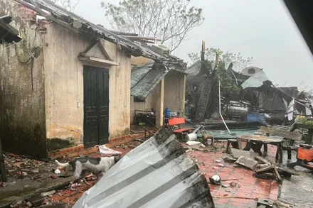Bão số 10 đã gây thiệt hại về người ở Thanh Hóa.