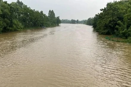 Nâng cấp báo động III trên sông Yên.