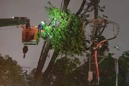 Công nhân xử lý sự cố lưới điện ngay trong đêm 25/8.