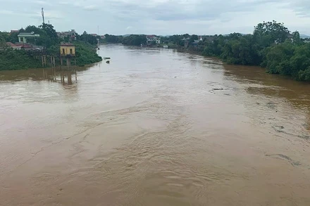 Nước sông Bưởi được nâng lên mức báo động II.