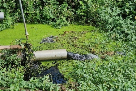 Hành vi xả thải trái phép tại xã Cẩm Tân bị phát hiện.