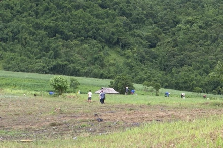 Nhiều cán bộ, công chức tại Thanh Hóa được luân chuyển lên công tác tại miền núi.
