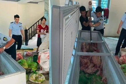 Hơn 1,6 tấn thịt nhiễm tả lợn châu Phi chuẩn bị được các đối tượng đưa ra thị trường.