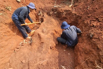 Cán bộ, chiến sĩ Đội K72 khảo sát, tìm mộ liệt sĩ tại tỉnh Kratie, Campuchia.