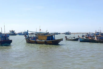 Tàu cá neo đậu tại Cảng cá La Gi, Bình Thuận. (Ảnh: ĐÌNH CHÂU)