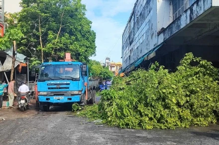 Vệ sinh môi trường sau mưa bão ở Thanh Hóa.