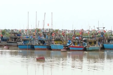 Thanh Hóa gấp rút triển khai các biện pháp ứng phó bão số 3.