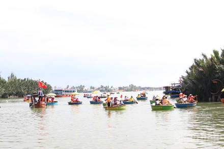 Rừng dừa Bảy Mẫu Cẩm Thanh với hình ảnh du lịch sinh thái sông nước đặc trưng.