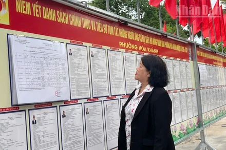 Cử tri phường Hòa Khánh đọc thông tin trên bảng niêm yết. 