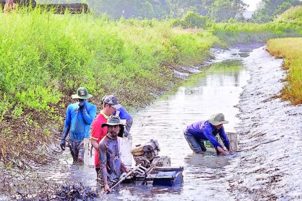 Người dân dùng máy đuôi tôm để quậy bùn dưới đáy mương. Tôm bị ngộp sình sẽ nổi đầu và tấp vào bờ, giúp việc thu hoạch nhanh chóng.