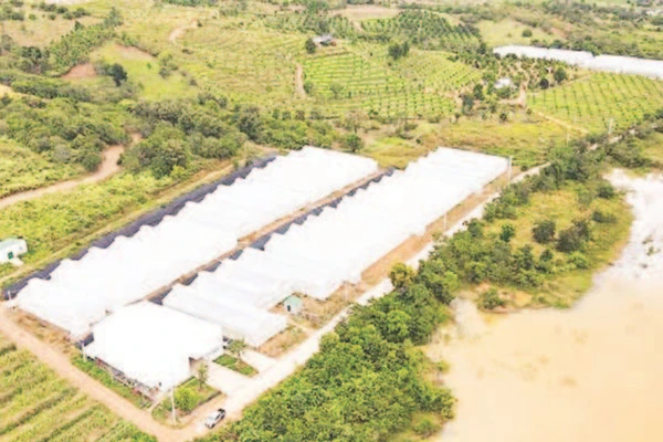 Một góc nông trại Chapor Farm, tại thôn Ma Ty, xã Bác Ái Tây, tỉnh Khánh Hòa.