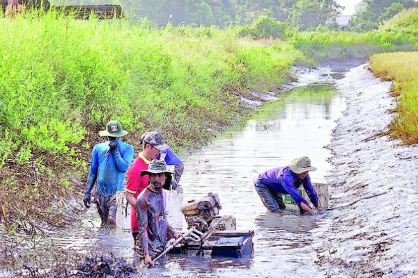Người dân dùng máy đuôi tôm để quậy bùn dưới đáy mương. Tôm bị ngộp sình sẽ nổi đầu và tấp vào bờ, giúp việc thu hoạch nhanh chóng.