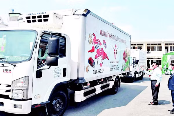 Doanh nghiệp tại tỉnh Đồng Tháp xuất khẩu xoài sang thị trường Mỹ.