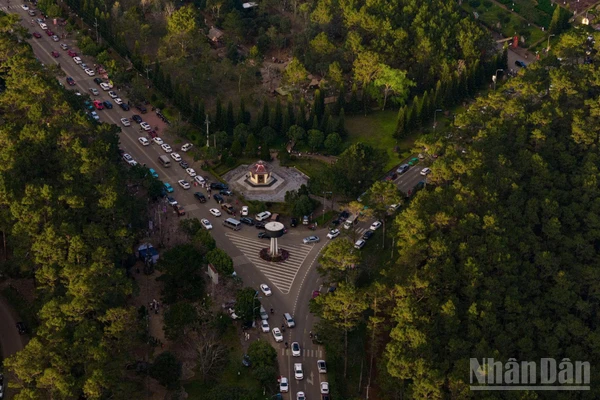 Măng Đen - Nóc nhà miền trung, trái tim xanh của tỉnh Quảng Ngãi.