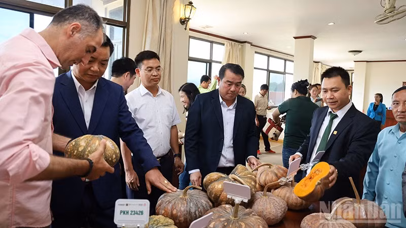 Các đại biểu tìm hiểu một số giống bí ngô chất lượng cao tại hội thảo. (Ảnh: Trịnh Dũng)