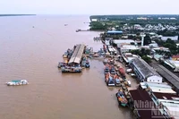 Cảng cá Trần Đề nhìn từ trên cao.