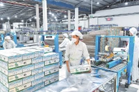 Trong những bước phát triển lớn của nền kinh tế có dấu ấn của nhiều doanh nghiệp tư nhân ở các lĩnh vực. (Ảnh: Thành Đạt)