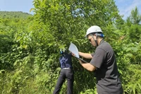 Các kỹ sư của dự án tiến hành trồng rừng tái tạo tại Mahaxay (Lào).