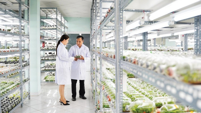 Phòng nuôi cấy mô cây giống, Khu Nông nghiệp công nghệ cao Thành phố Hồ Chí Minh.