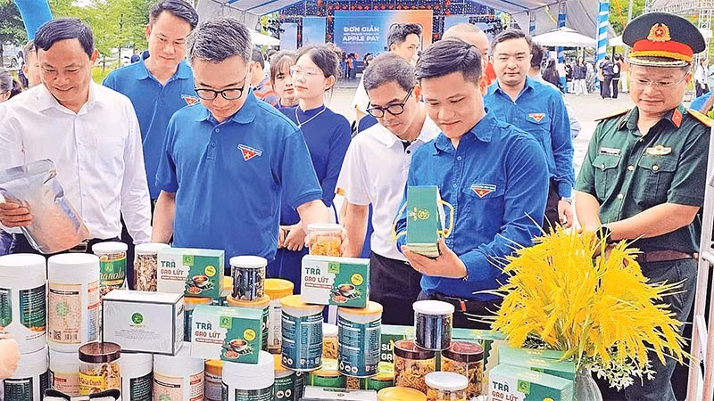 Nhiều sản phẩm OCOP đặc sắc của Nghệ An được khách hàng quan tâm tại các hội chợ.