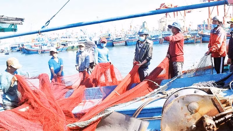 Ngư dân tất bật chuẩn bị ngư cụ ra khơi.