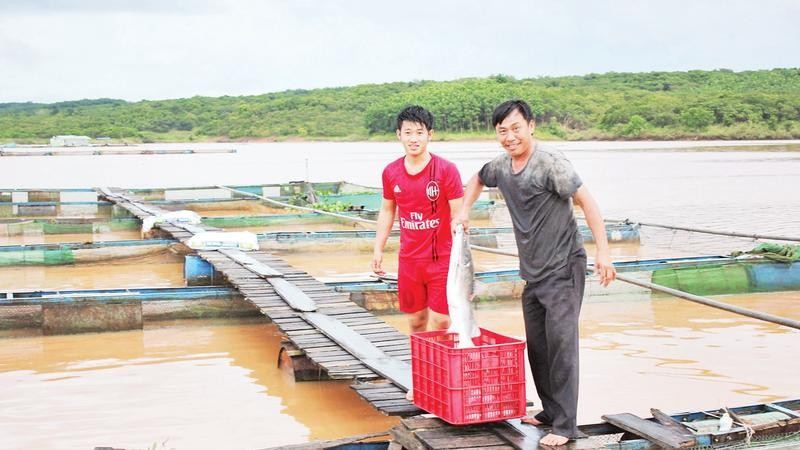 Các hộ dân nuôi cá lồng bè trên lòng hồ thủy điện Cần Đơn, xã Đa Kia, tỉnh Đồng Nai.