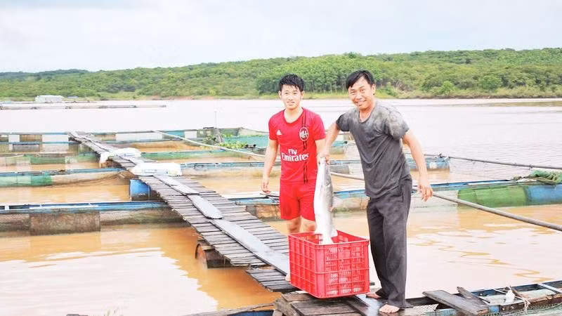 Các hộ dân nuôi cá lồng bè trên lòng hồ thủy điện Cần Đơn, xã Đa Kia, tỉnh Đồng Nai.