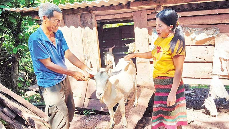 Chị Hồ Thị Dắt thường xuyên đến từng nhà dân, động viên bà con vượt khó vươn lên.