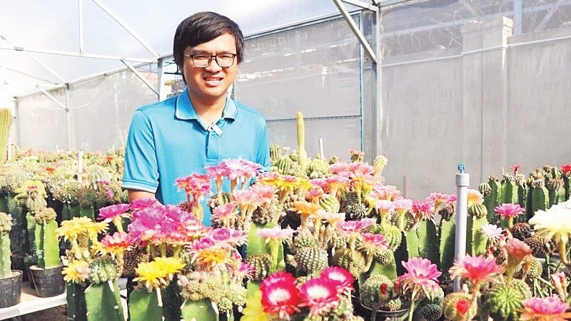 Anh Nguyễn Hữu Trung trong vườn lai tạo loài cây xương rồng Lobivia.