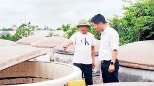 Nghề làm nước mắm ở xã Nam Cường, huyện Tiền Hải, tỉnh Thái Bình.