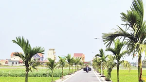 Một tuyến đường liên thôn ở xã Giao Phong, huyện Giao Thủy, tỉnh Nam Định.