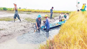 Tỉnh Bạc Liêu hiện có hơn 39.600 ha sản xuất theo mô hình lúa-tôm.