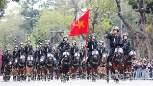 Màn trình diễn của lực lượng kỵ binh. 