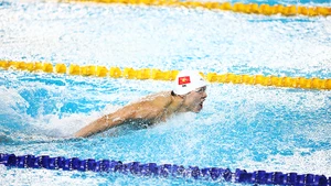 Bơi lội Việt Nam sẵn sàng vươn lên những đỉnh cao mới sau SEA Games. Ảnh: NHƯ ĐẠT
