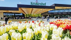 Mùa tham quan tại vườn Keukenhof