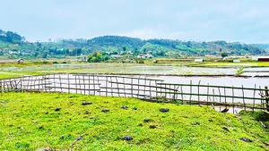 Dung dị với Kon Vơng Kia