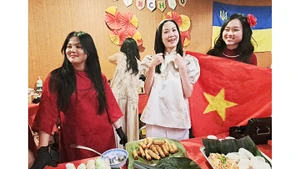 Sắc màu Việt Nam đã được các bạn trẻ thể hiện cuốn hút tại lễ hội ẩm thực.